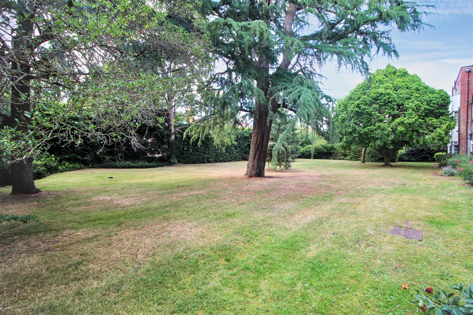 Coley Avenue, Reading